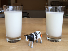 ミルク飲み比べ（2種）